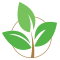 Save Green